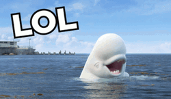 Funny Whale Lol GIF