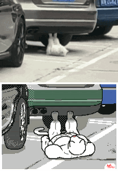 Funny Workout Cute Dog Animation Meme GIF