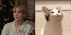 Funny Yunho Popcat Meme GIF
