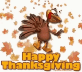 Funnyturkey Turkeyday GIF