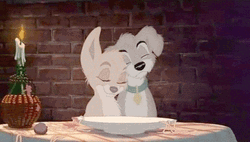 Fur Couple Happy Anniversary Meme GIF