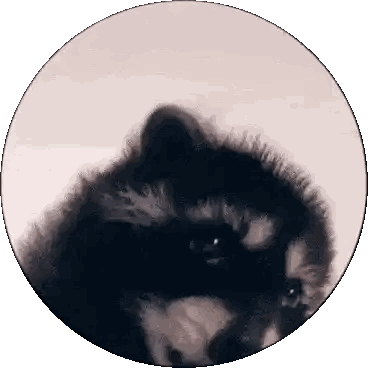 Furry Animal Close Up Sticker