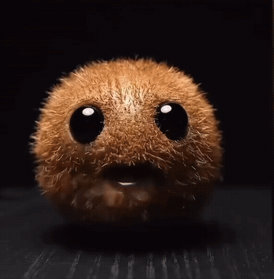 Furry Animal With Kiwi GIF