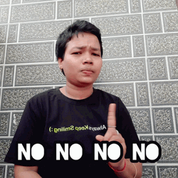 Furry Brows Nope Meme GIF