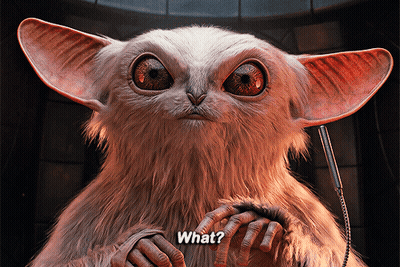 Furry Creature Saying What GIF