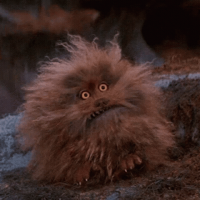 Furry Creature With Big Yellow Eyes Sitting On Ground GIF