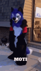 Furry Dance Steps GIF