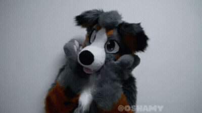 Furry Dog Costume GIF