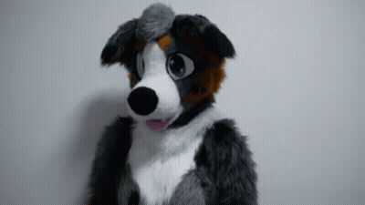 Furry Dog Mascot Looking At Camera GIF