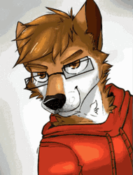  Furry Eyebrows Flash Yiff GIF