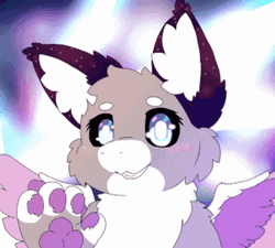 Furry Looking With Cute Eyes GIF