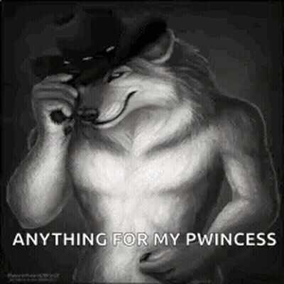 Furry Wolf In Cowboy Hat And Sunglasses Holding Gun GIF