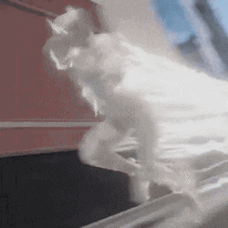 Fusion Animations Godspeed  GIF