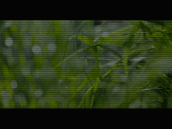 Future World Glitch Hologram GIF