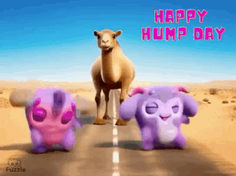 Fuzzle Hump Day GIF