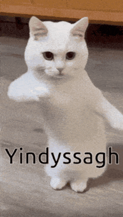 Gaelg Manx GIF