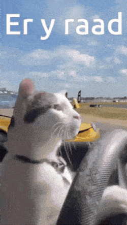 Gaelg Manx GIF