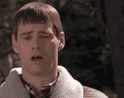 Gag Dumb And Dumber GIF