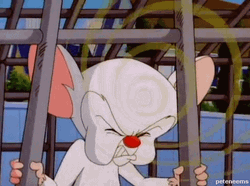Galaxy Brain Pinky And The Brain Meme GIF