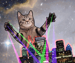 Galaxy Cat Rainbow GIF