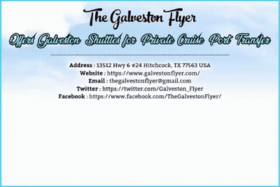 Galveston Flyer Shuttles for Private Cruise Port Transfers