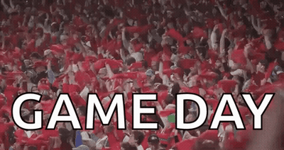 Game Day Crowd In Stadium GIF