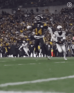 Game Fight George Pickens GIF