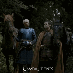 Game Of Thrones Brienne You Sure About That GIF