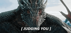 Game Of Thrones Drogon Judging You GIF
