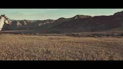 Game Of Thrones Horse Knight GIF