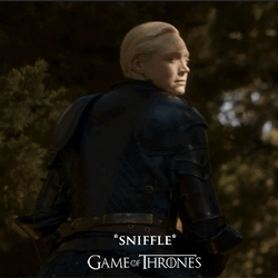 Game Of Thrones Sad Jaime Looks At Brienne GIF