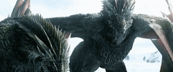 Game Of Thrones Vhagar Dragon GIF