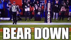 Game Umpires Bear Down GIF