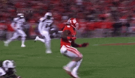 Gamecocks Got Rough Game GIF