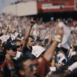 Gamecocks Lively Fans Cheering GIF