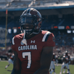 Gamecocks While On The Game GIF