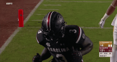 Gamecocks Wiggles The Happiness GIF