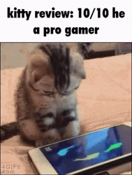 Gamer GIF