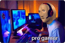 Gamer Pro Gamur GIF