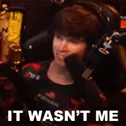 Gamer Says It Wasn't Me GIF