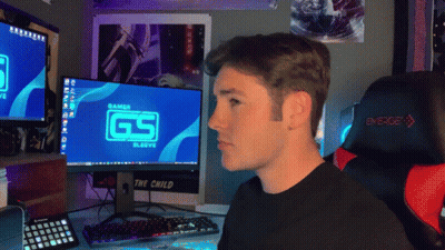 Gamer Sleeve Gamer GIF