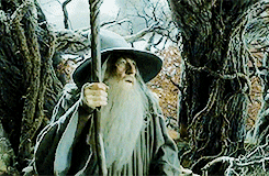 Gandalf Amazed Look GIF