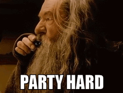 Gandalf Drinking Party Hard GIF
