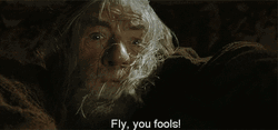 Gandalf Falling Of The Cliff GIF
