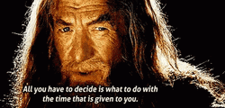 Gandalf Giving Advice About Time GIF