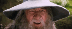 Gandalf Laughing Happily GIF