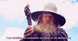 Gandalf Looking For Someone To Share In An Adventure GIF