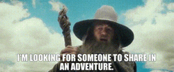 Gandalf Lord OF The Rings Adventure GIF
