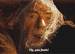 Gandalf Saying Fly You Fools GIF
