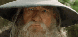 Gandalf Thug Life Shades Deal With It GIF